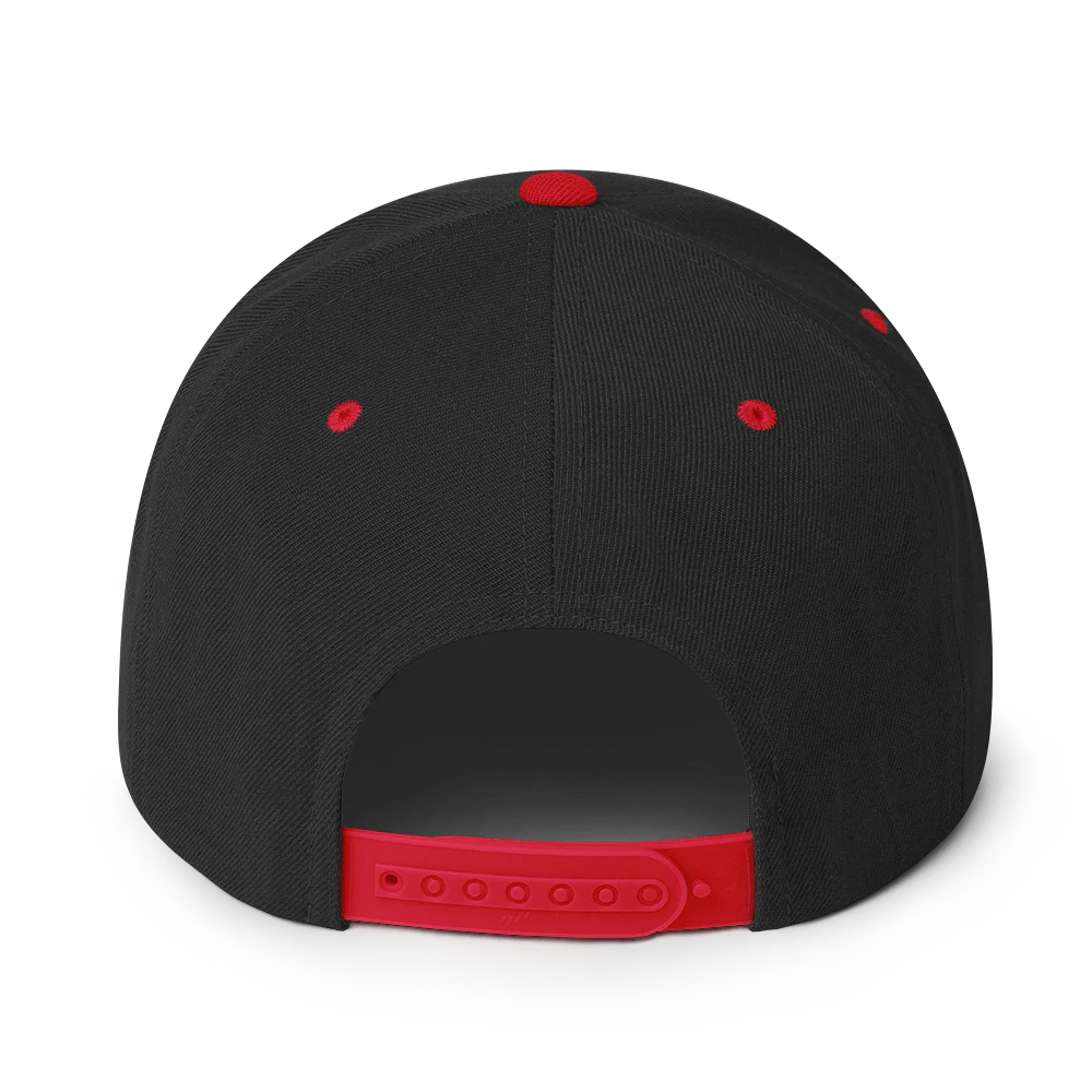 Pander Snapback Hat - Image 5
